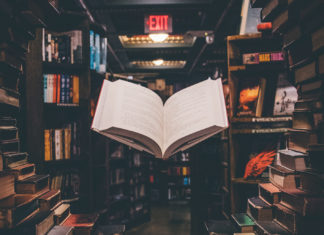 Sarkozy, Elif Şafak ve Ece Temelkuran