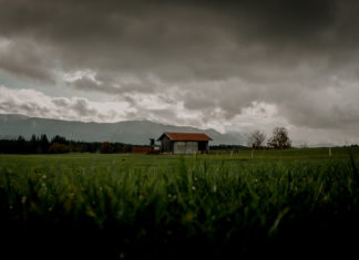 Anacığım, Mantı Suyunu Sakın Zayi Etme!
