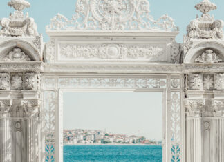 Dolmabahçe’deki Ağaçlar